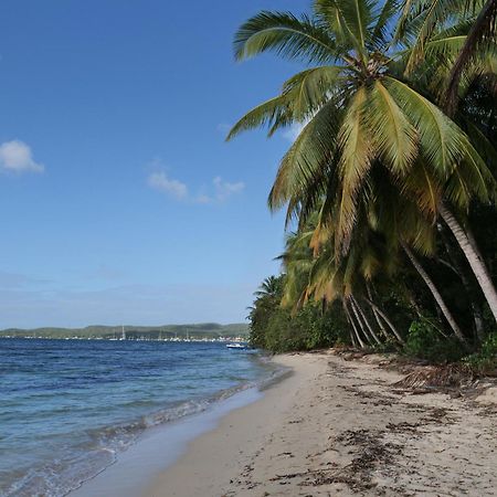 Village Kawann - Toumalacai 246 Grand-Bourg  Luaran gambar